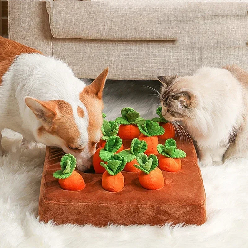 Tapete de Fuçar com Cenouras — Estimulação Sensorial para Cães